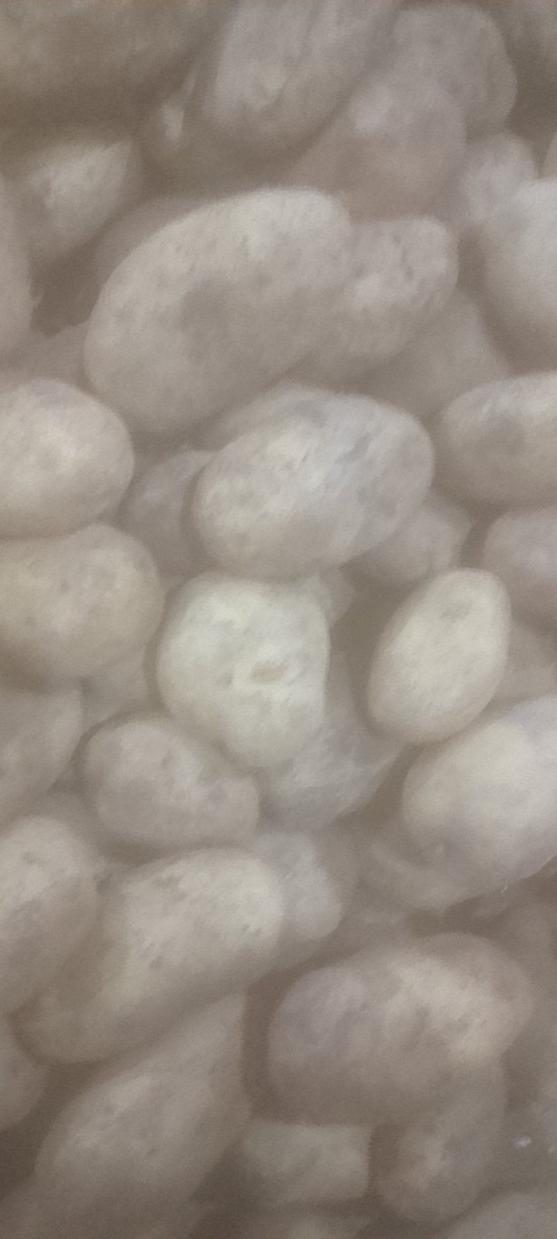 土豆