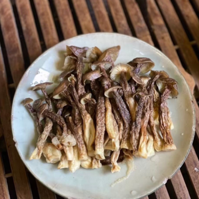 鹿茸菇脆嫩可煲汤，煮面，焖炒！营养美味