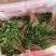 香菜货源充足产地直销质量好新鲜上市欢迎采购
