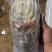 活冻花龙酒店婚宴酒席诚信经营一手货源