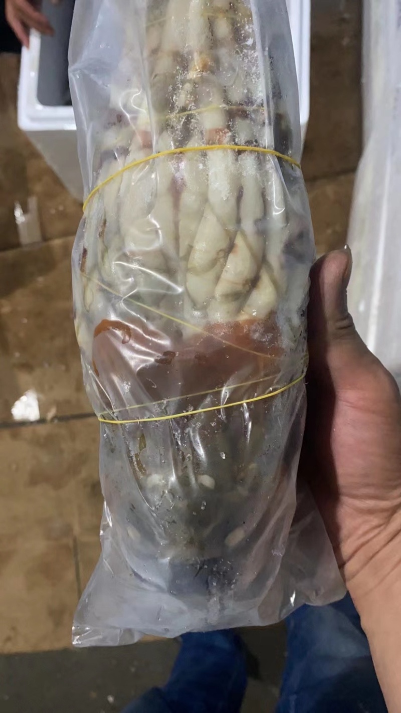 活冻花龙酒店婚宴酒席诚信经营一手货源