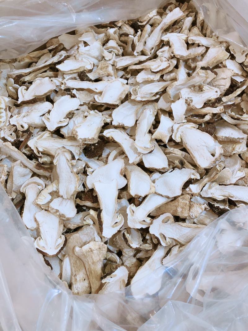 赤松茸，鲜货，干货都有量销售