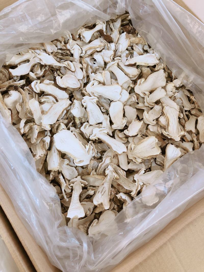 赤松茸，鲜货，干货都有量销售