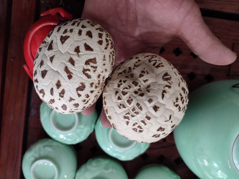 白花菇天白花菇秋栽花菇泌阳特产送礼佳品