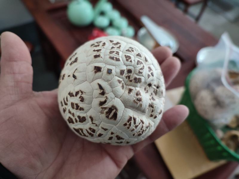 白花菇天白花菇秋栽花菇泌阳特产送礼佳品