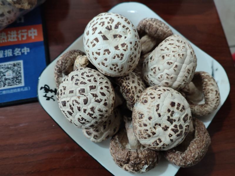 白花菇天白花菇秋栽花菇泌阳特产送礼佳品