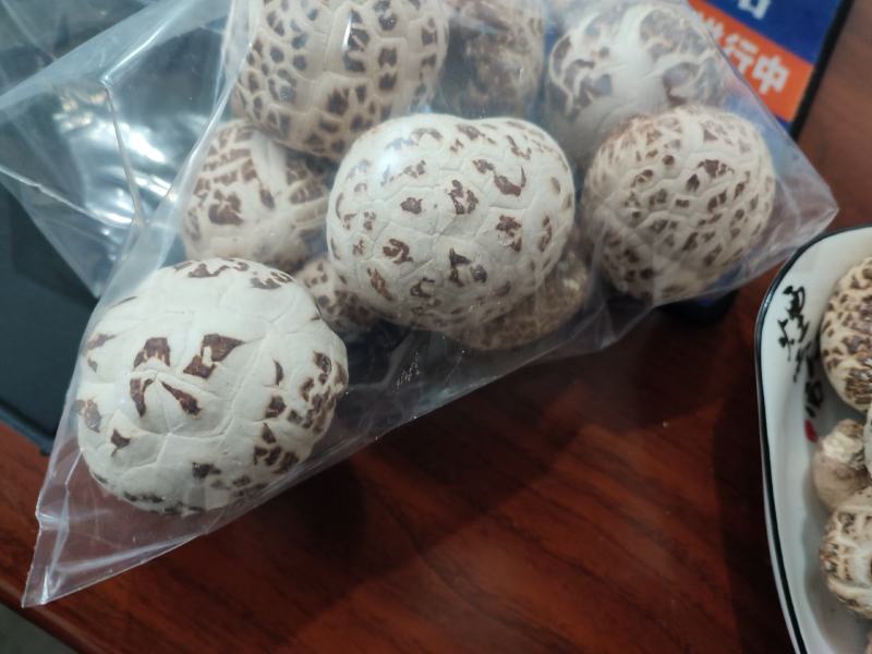 白花菇天白花菇秋栽花菇泌阳特产送礼佳品