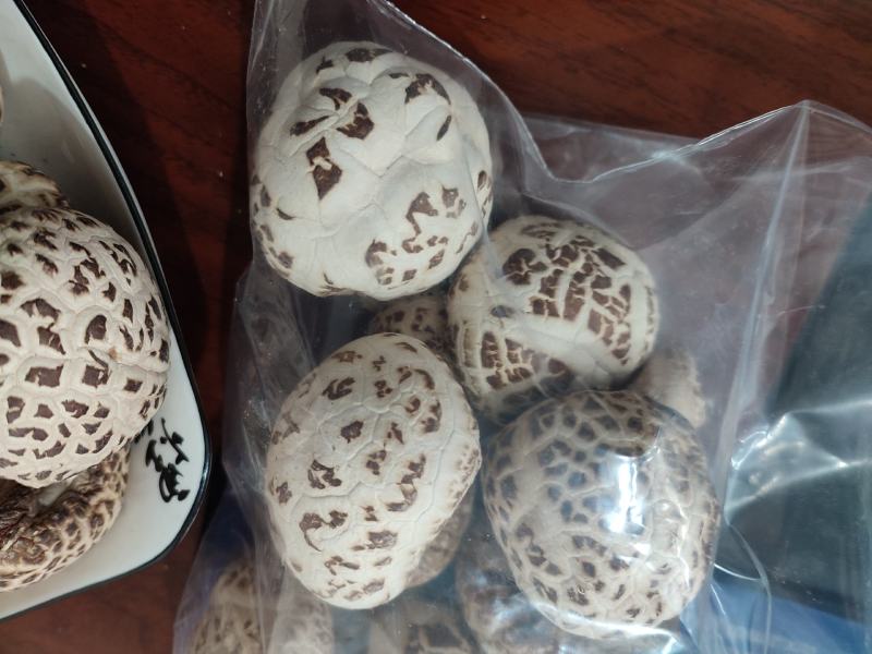 白花菇天白花菇秋栽花菇泌阳特产送礼佳品