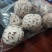 白花菇天白花菇秋栽花菇泌阳特产送礼佳品