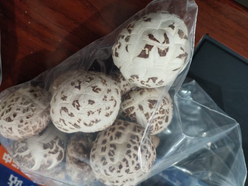 白花菇天白花菇秋栽花菇泌阳特产送礼佳品