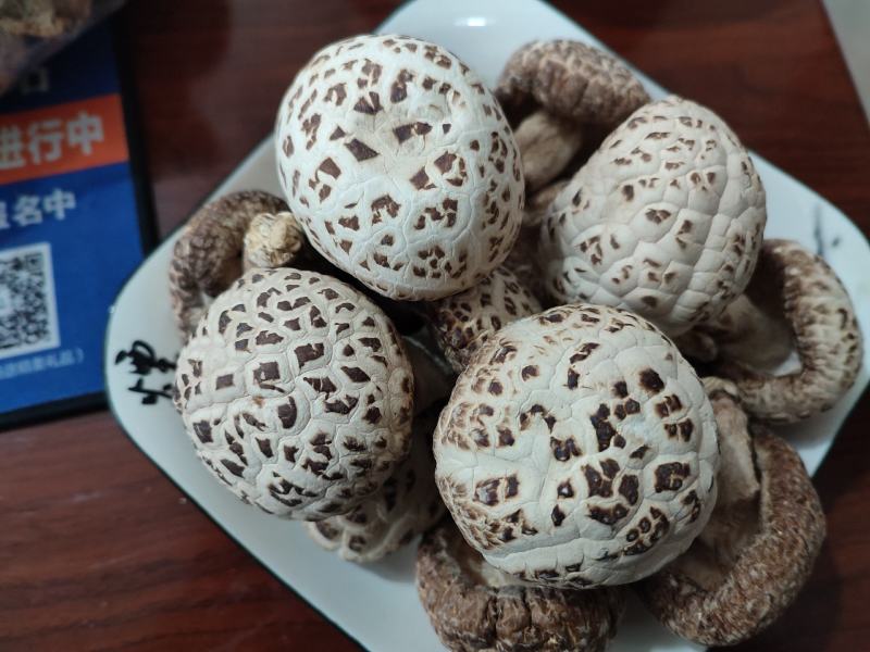 白花菇天白花菇秋栽花菇泌阳特产送礼佳品