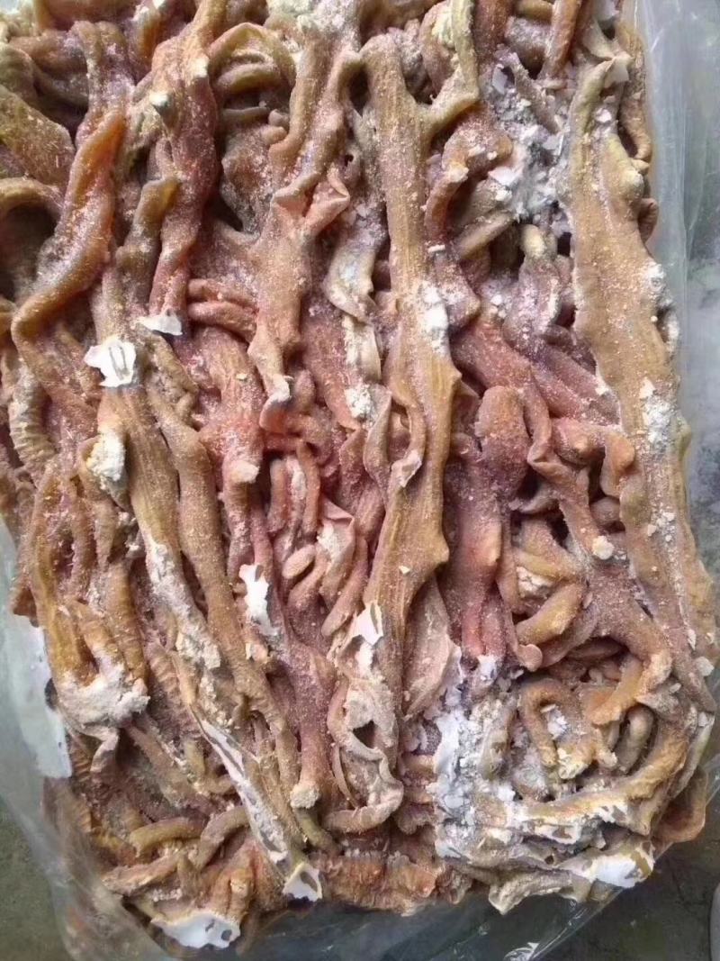 精品半成品牛小肠，板冻40斤一板，长年有货