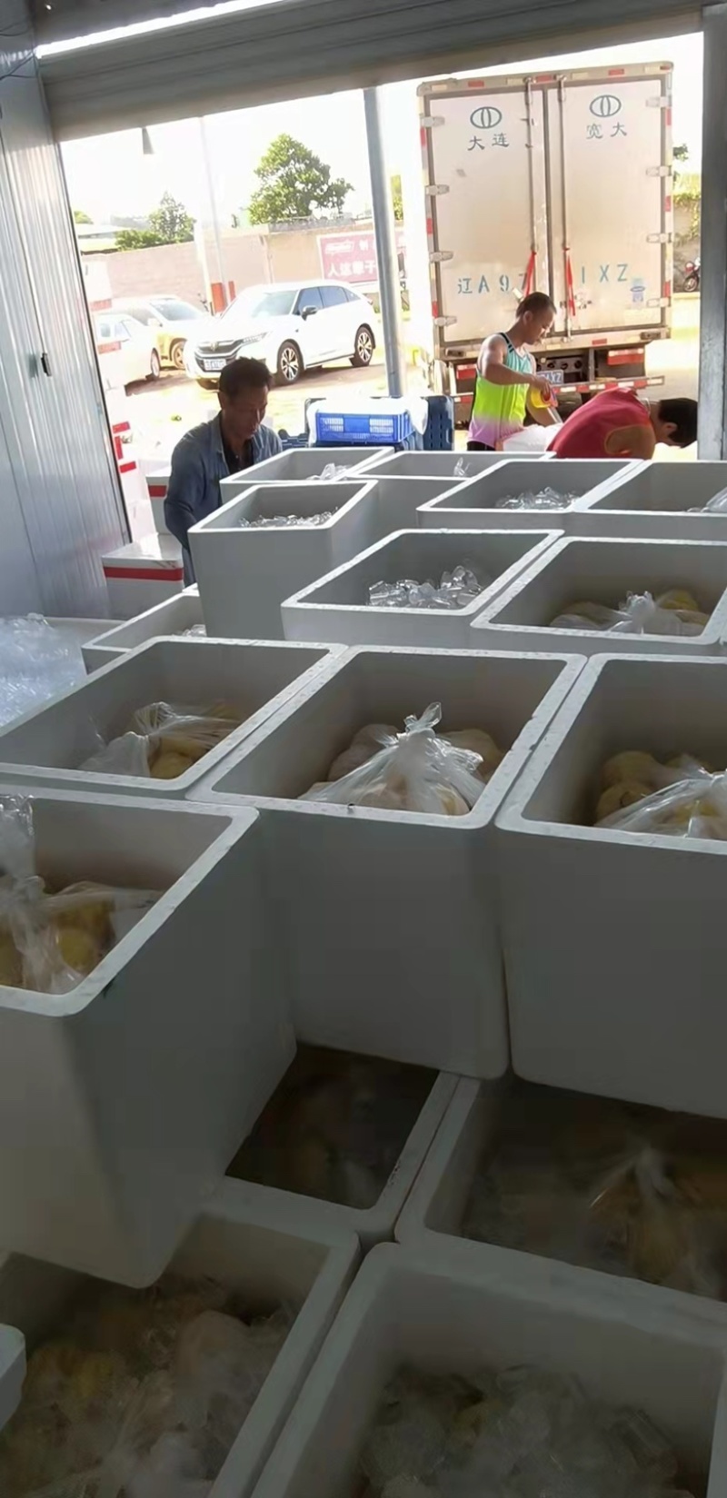 广东省徐闻基地小菠萝，香水小菠萝厂家供应小菠萝