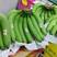 精品香蕉，大量现货，青蕉，二黄蕉，质量优质，合作共赢
