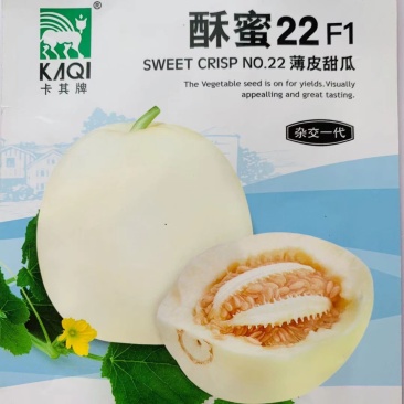 酥蜜22甜瓜种子薄皮酥脆香甜白皮甜瓜种子耐低温早熟