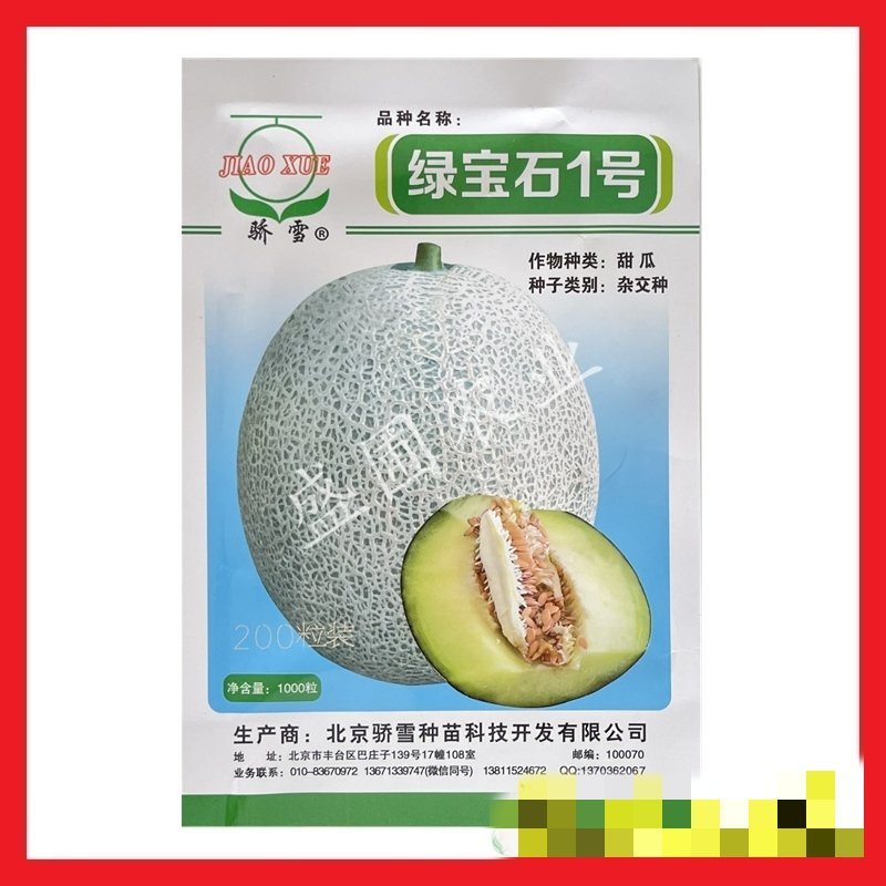 绿宝石1号网纹甜瓜种子，200粒，网纹均匀而稳定，绿肉，