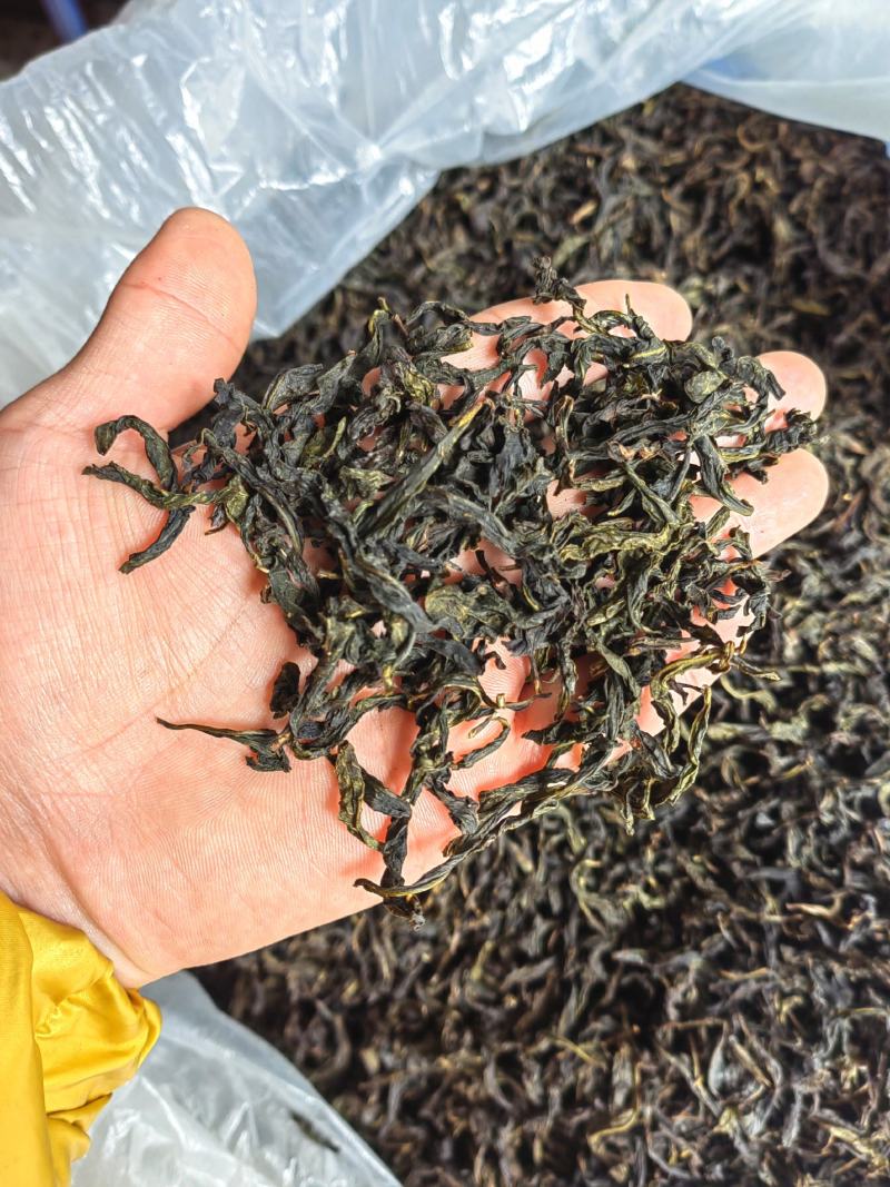 诏安富硒八仙茶精选高山茶心炭焙茶叶醇香黄旦茶叶惠来土山茶
