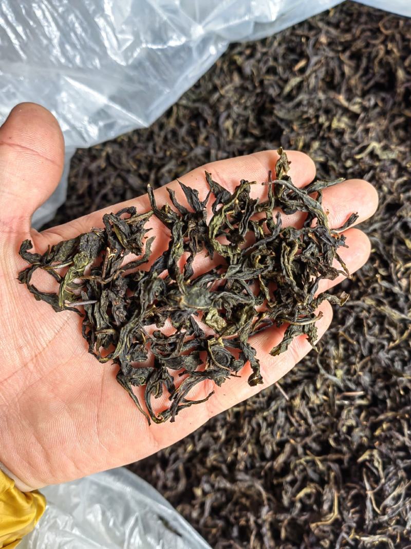 诏安富硒八仙茶精选高山茶心炭焙茶叶醇香黄旦茶叶惠来土山茶