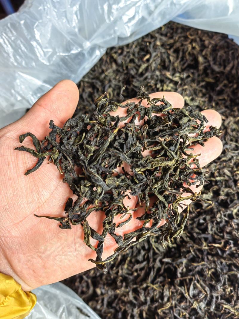 诏安富硒八仙茶精选高山茶心炭焙茶叶醇香黄旦茶叶惠来土山茶