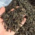 诏安富硒八仙茶精选高山茶心炭焙茶叶醇香黄旦茶叶惠来土山茶