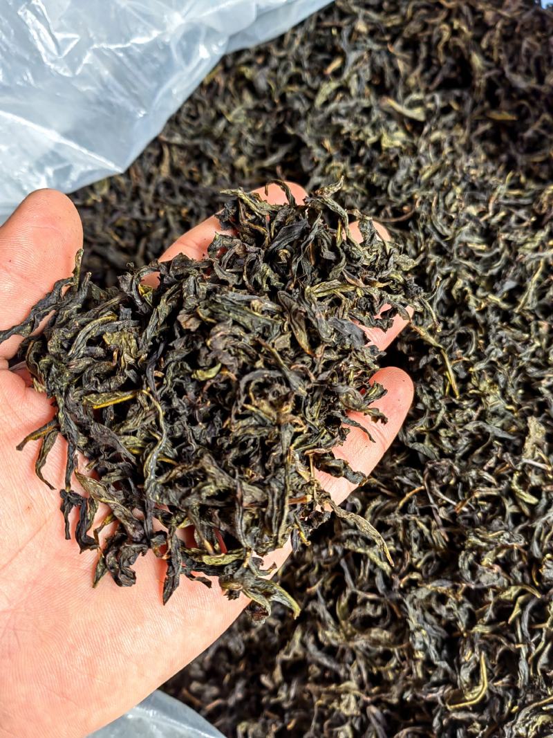 诏安富硒八仙茶精选高山茶心炭焙茶叶醇香黄旦茶叶惠来土山茶
