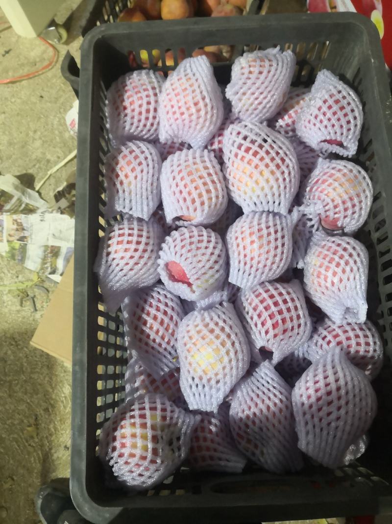 新疆阿克苏红旗坡冰糖心苹果，七零八零一上大量出库中。
