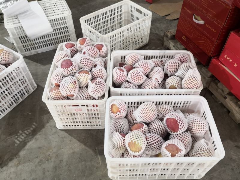 新疆阿克苏红旗坡冰糖心苹果，七零八零一上大量出库中。