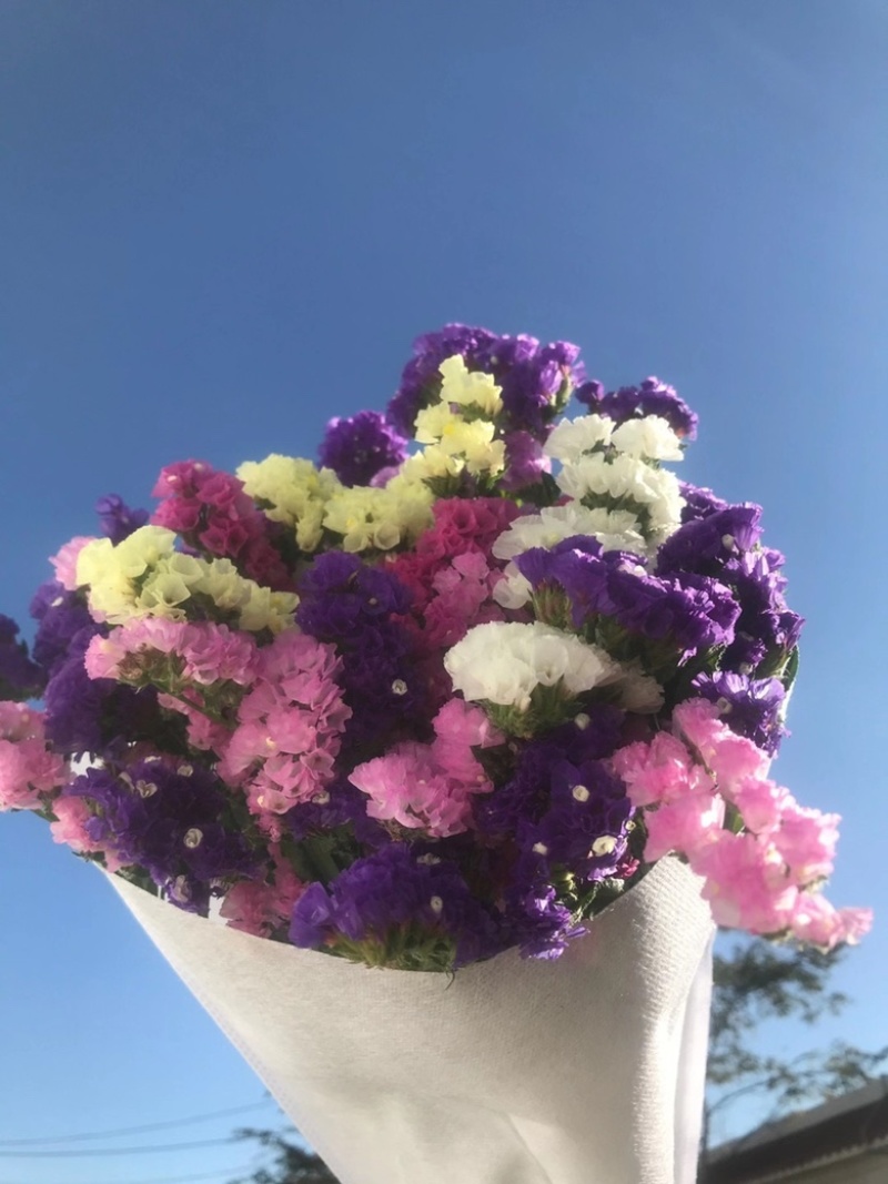 云南18怪鲜花称斤卖忽忘我情人草地摊热销模式