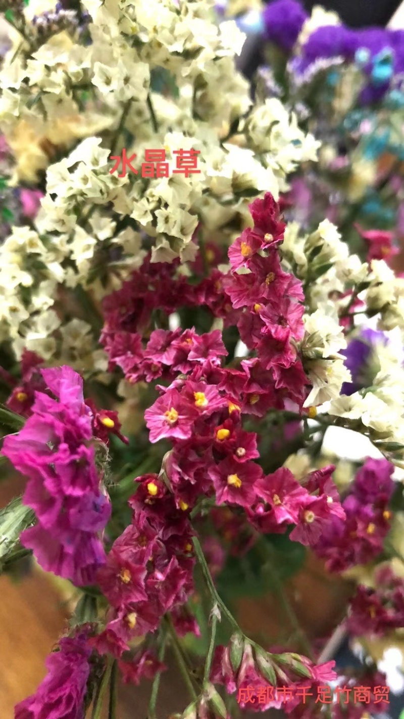 云南18怪鲜花称斤卖忽忘我情人草地摊热销模式