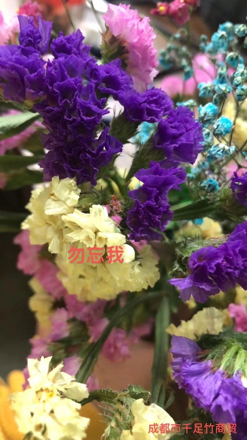 云南18怪鲜花称斤卖忽忘我情人草地摊热销模式