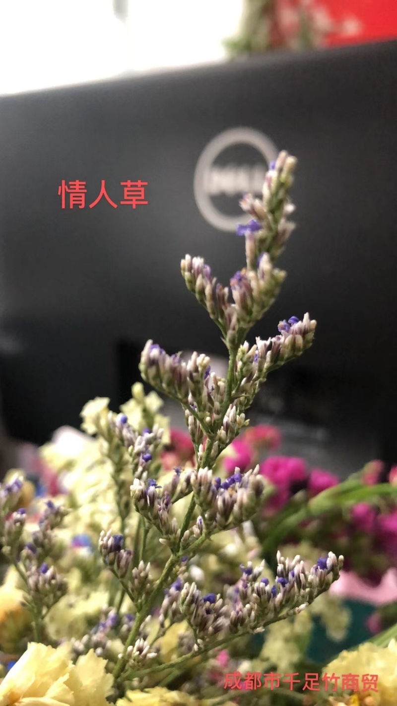 云南18怪鲜花称斤卖忽忘我情人草地摊热销模式