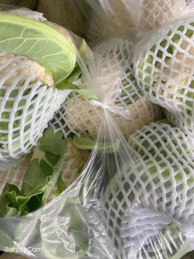 [精品]湖北有机花菜西兰花松花菜产地直销看货论价