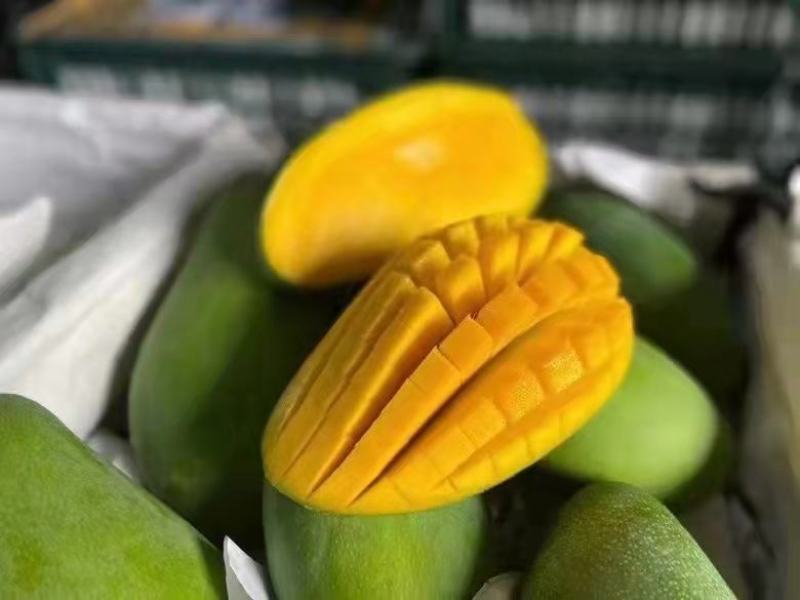 新鲜芒果大青芒玉芒对接电商直播一件代发