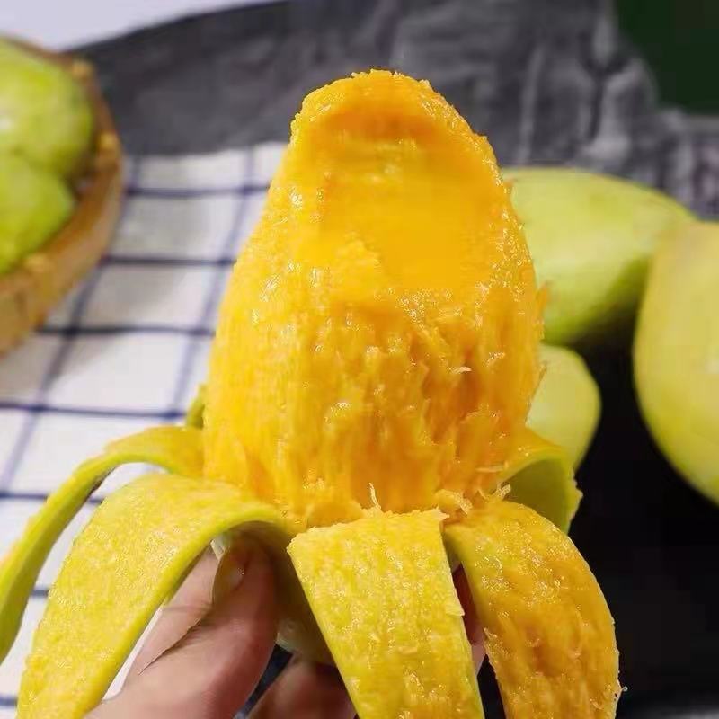 新鲜芒果大青芒玉芒对接电商直播一件代发