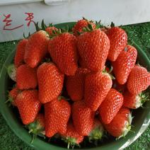 草莓批发