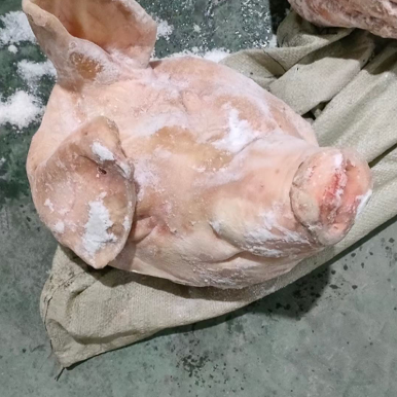 肥猪头