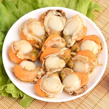 扇贝肉低价处理港湾贝