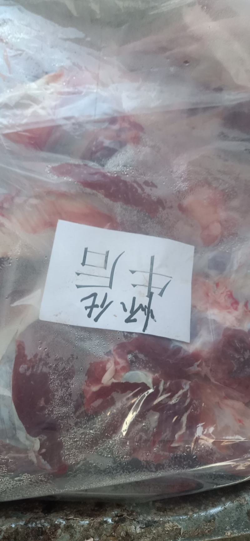 牛肉牛净排货源足内蒙各种牛羊副对接各级客商欢迎咨询