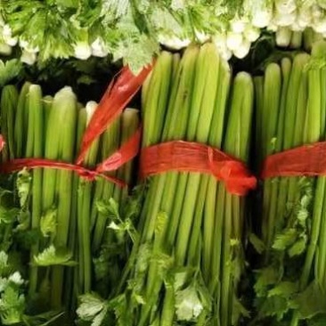 芹菜，基地芹菜，保值保量，