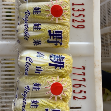 娃娃菜