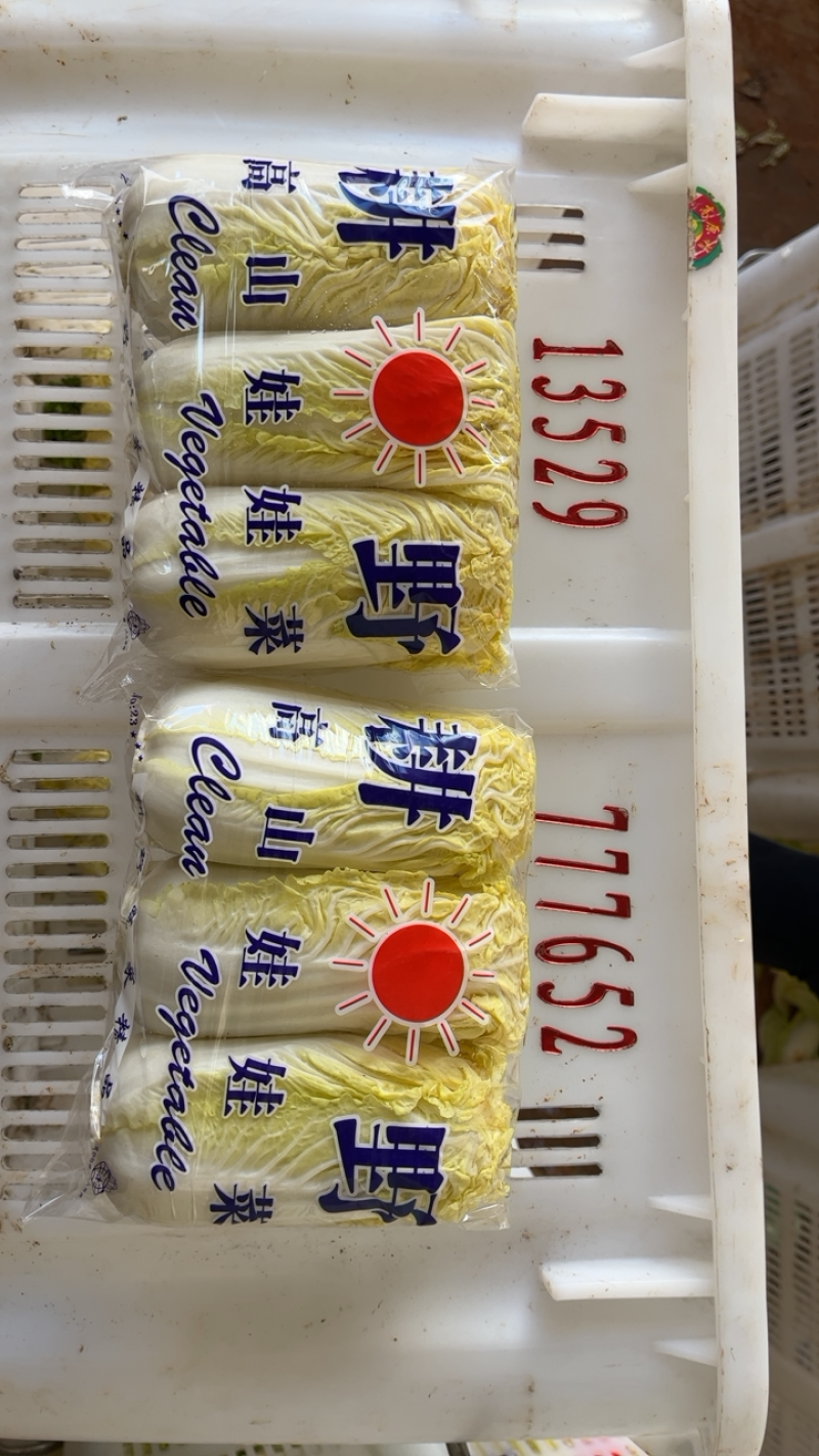 娃娃菜