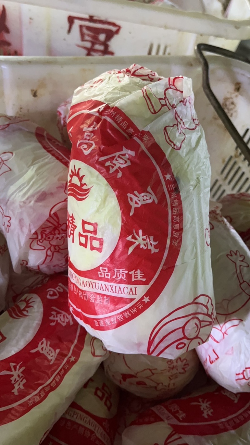 娃娃菜