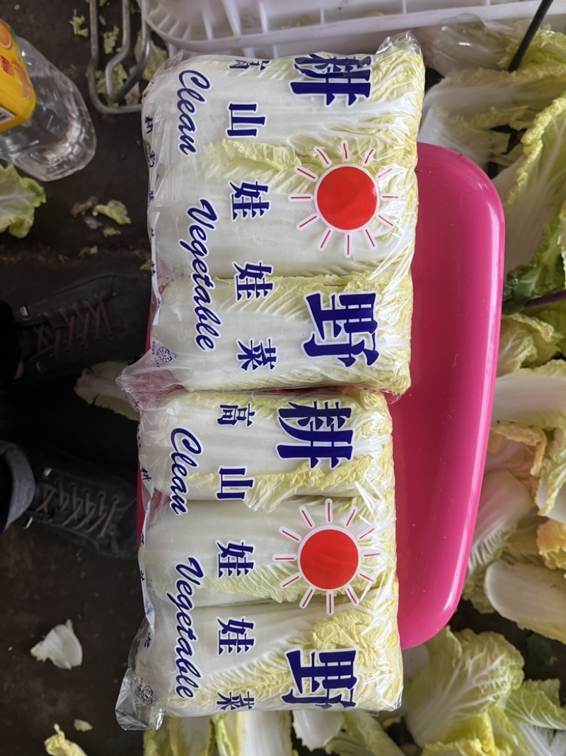 娃娃菜