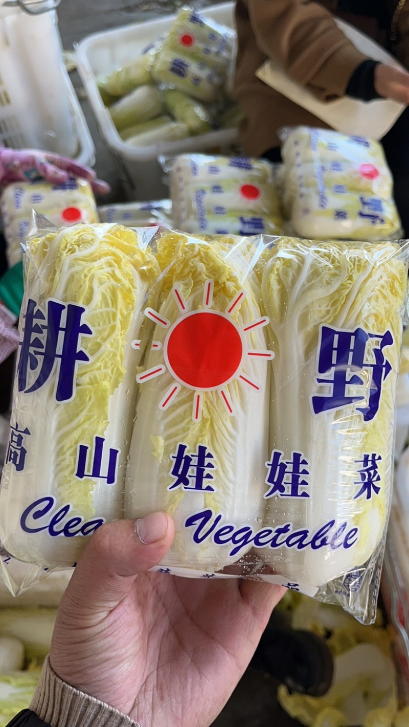 娃娃菜