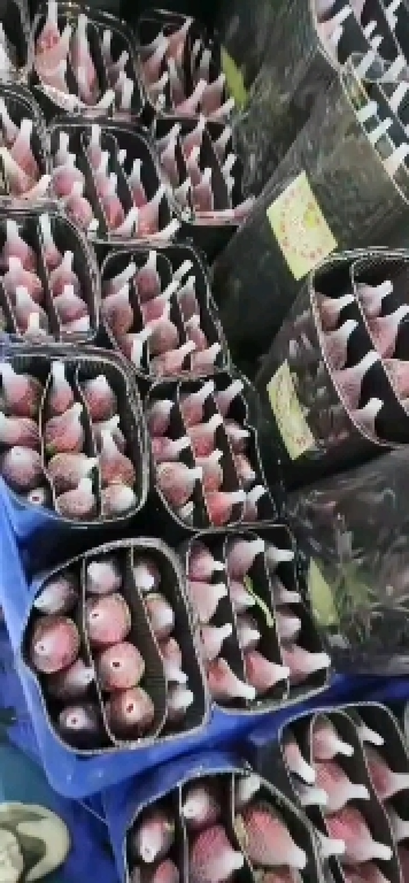 卡罗拉，自由，新娘，高原红，其它红玫等都有
