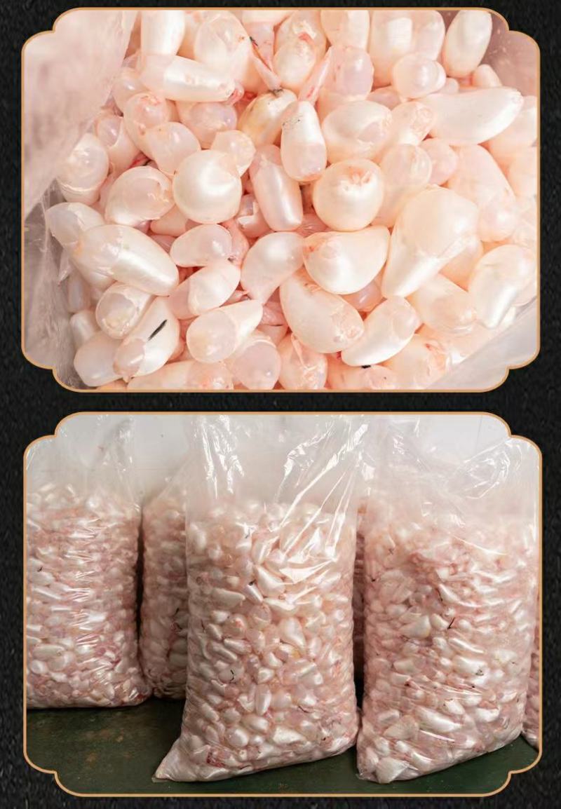 【稳定供货】白鲢鱼泡鱼肚鲜鱼鳔工厂直发对接餐饮