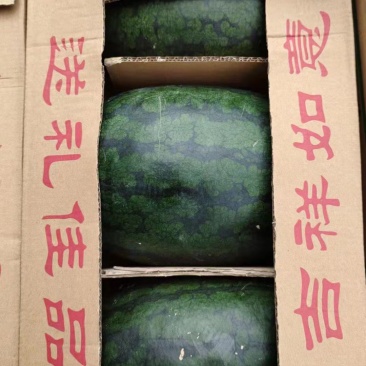 黑美人，外表坚应，可是口感好，果面光华，含糖13%以上