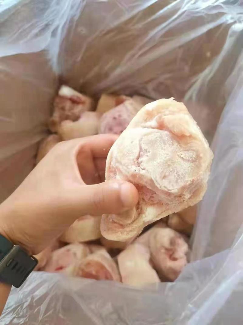 精品一级优质猪脚圈，可长期供货，诚信经营，价格合适