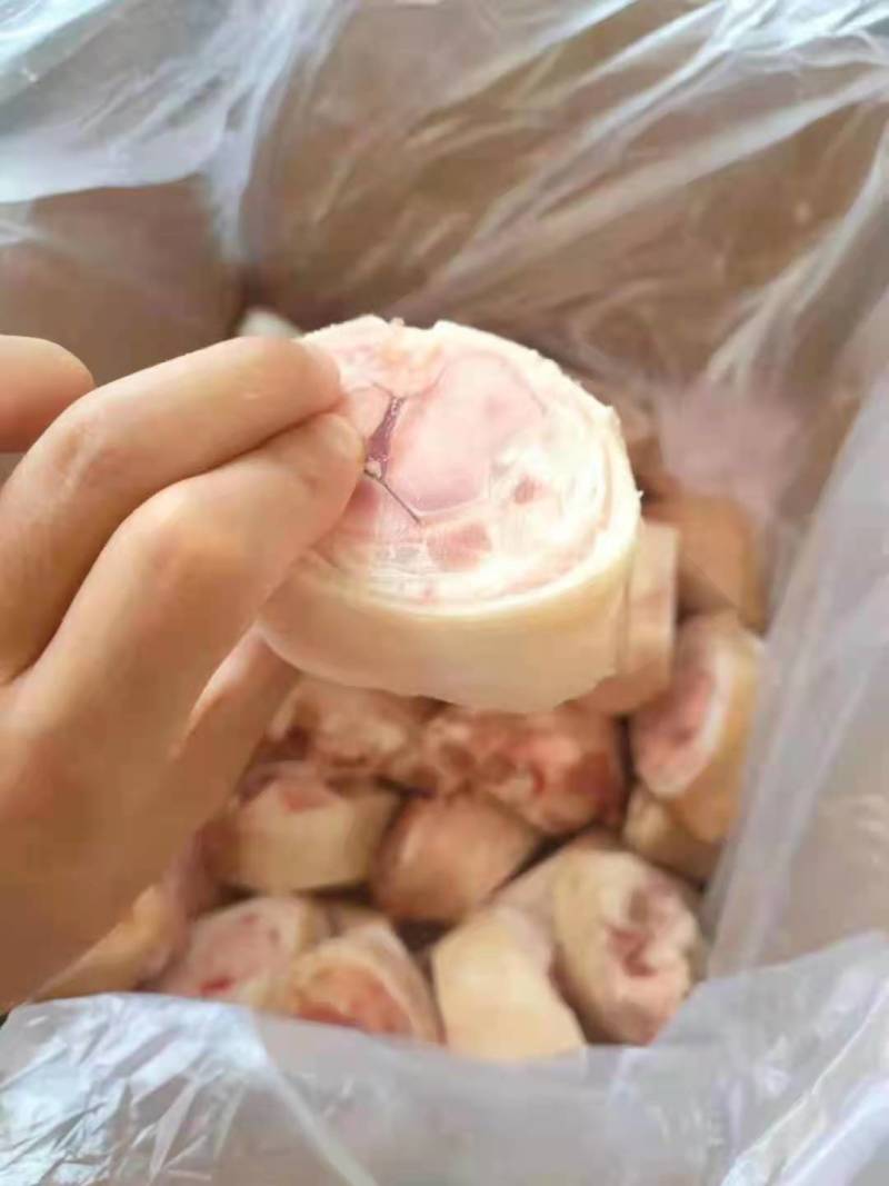 精品一级优质猪脚圈，可长期供货，诚信经营，价格合适