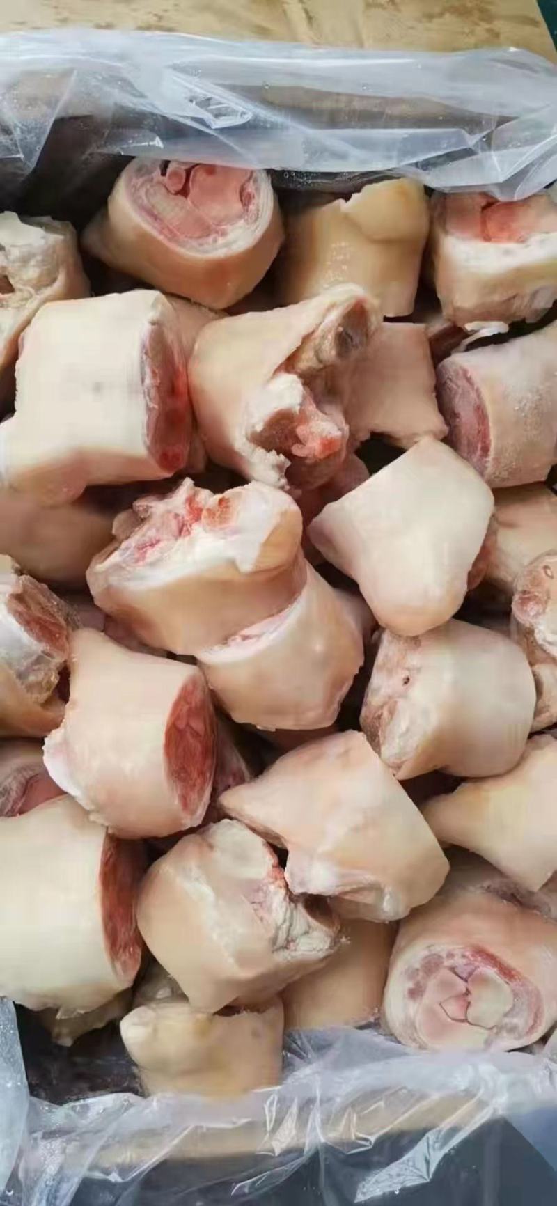 精品一级优质猪脚圈，可长期供货，诚信经营，价格合适